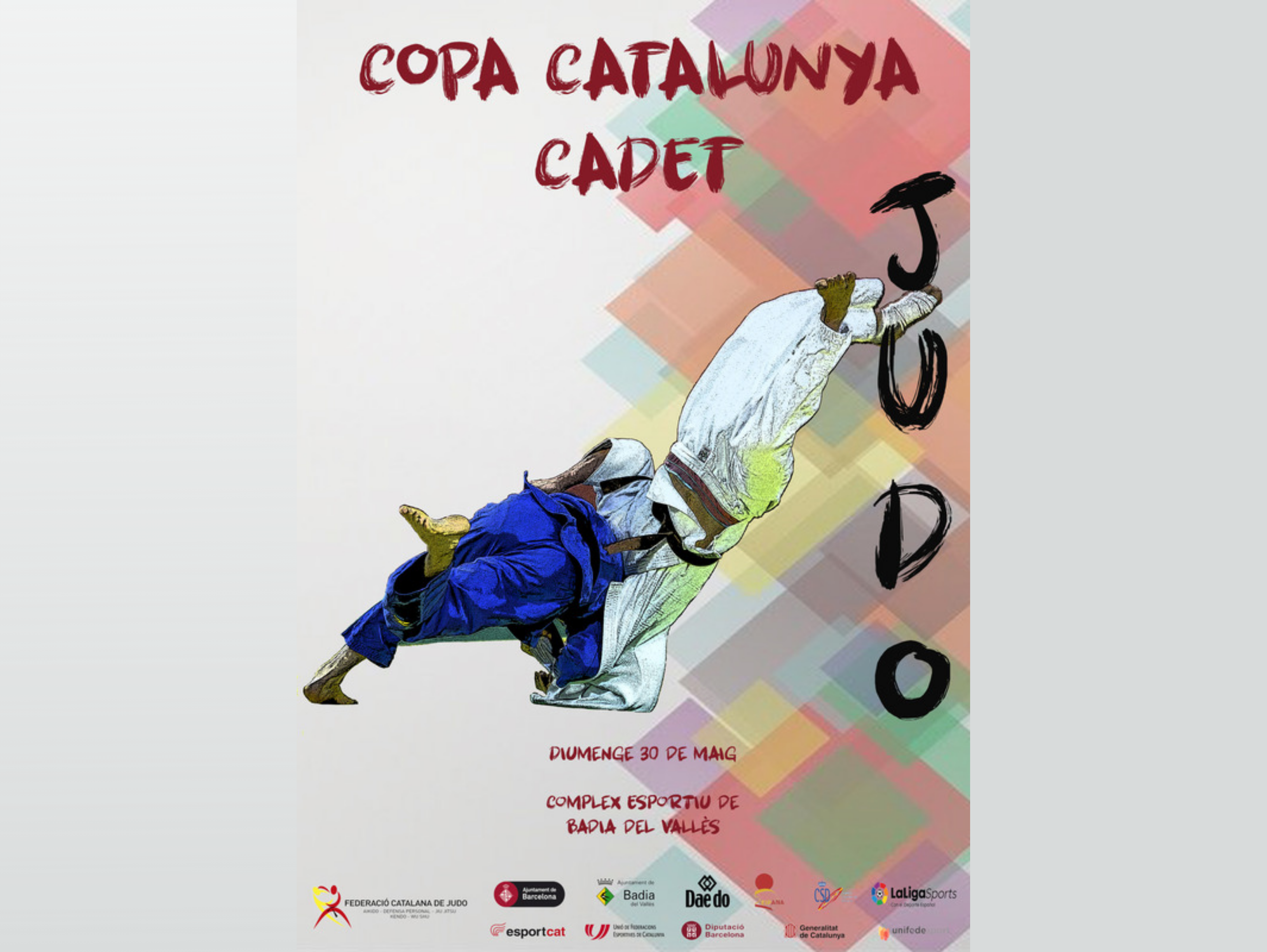 Copa Catalunya cadet