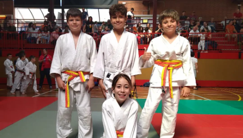 Competició judoseny, ALV, BNJ, INF